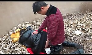 Chinese Couple Fucks Nigh Unseat